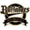 Orix Buffaloes